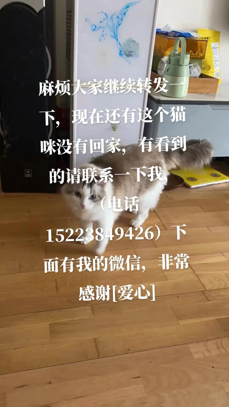 稳定半年微信号多少钱，怎么买，哪里有出售微信老号的-第3张图片-一稳号车牌