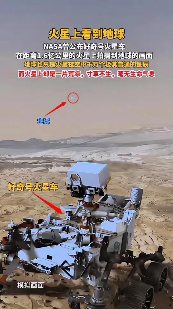 vx号批发1元一个，地球号v出售-第2张图片-一稳号车牌